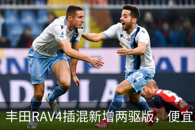 丰田RAV4插混新增两驱版，便宜了却只卖澳洲