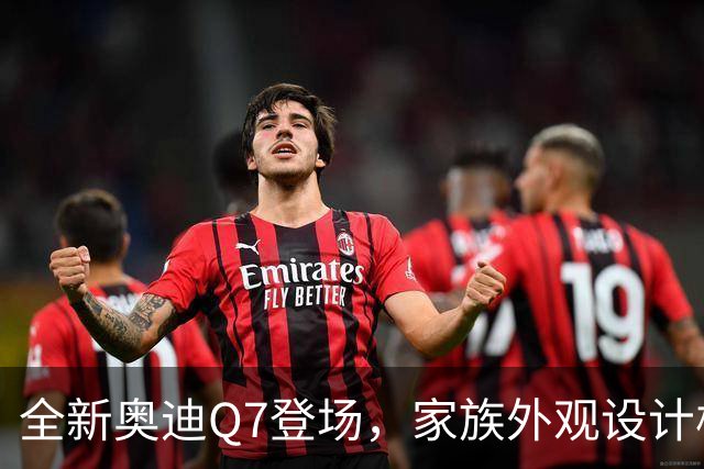 全新奥迪Q7登场，家族外观设计极具辨识度，稳重大气浑然天成