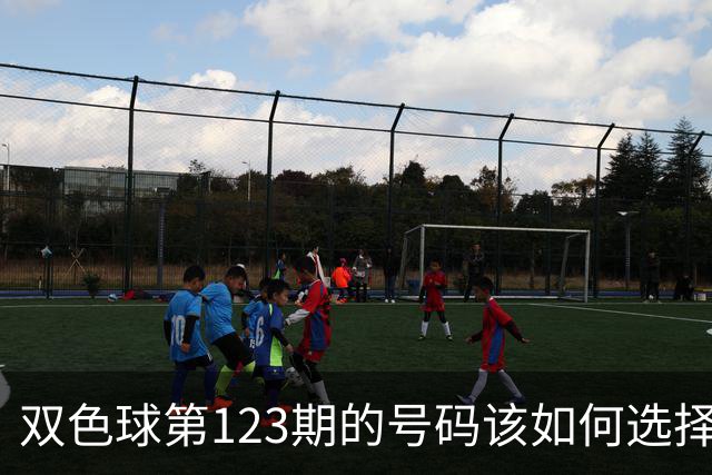 双色球第123期的号码该如何选择看我推荐