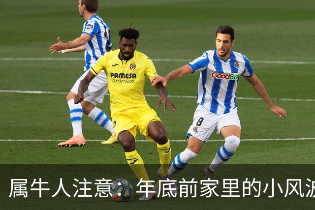 属牛人注意：年底前家里的小风波，其实是亲家关系升温的好兆头