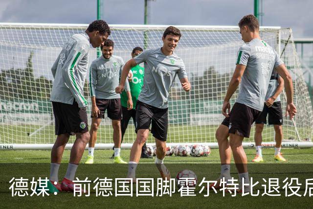 德媒：前德国国脚霍尔特比退役后加盟业余球队
