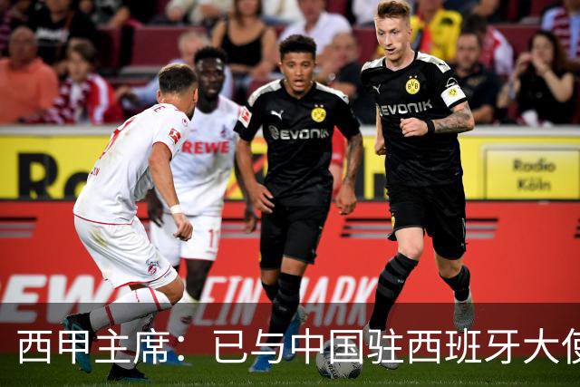 西甲主席：已与中国驻西班牙大使会面 寻求解决办法