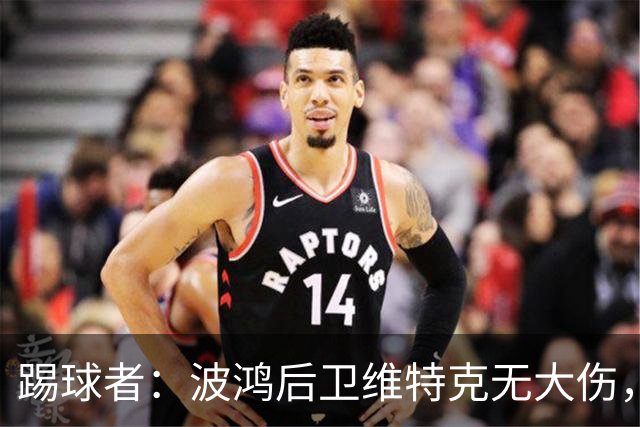踢球者：波鸿后卫维特克无大伤，仅伤口需处理