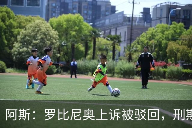 阿斯：罗比尼奥上诉被驳回，刑期至2032年不变