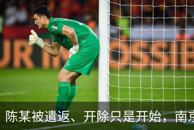 陈某被遣返、开除只是开始，南京警方已接到百起举报：这不是小事